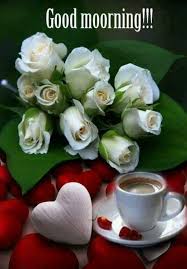 Guten Morgen Mein Susser Gut Geschlafen Daizo Blumen Blumenarrangements Bilder