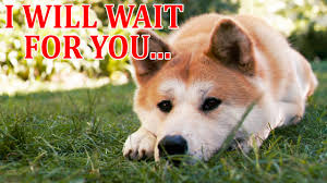 Guarda i trailer e scopri di più. Hachiko A Dog S Story Movie Trailer Film Music Video Statue Doge Meme Youtube
