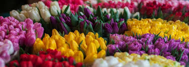 Shop for artificial flowers & silk flowers to brighten up your home with minimal effort. Artificial Flowers Artificial Flowers And Decorations