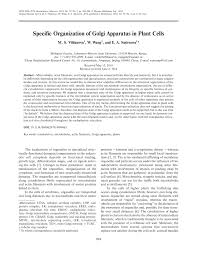In plant cells, the golgi body does. Pdf Specific Organization Of Golgi Apparatus In Plant Cells