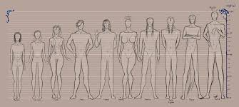 Oc Height Chart By Prettieangel In 2019 Height Chart