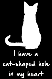 Loss Of A Pet Pet Quotes Cat Cat Quotes I Miss My Cat