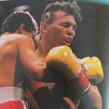 Who am I ? I was a two champion in my division and fought the top  contenders, however Boxing was just one of the professions I was good at. I  was also