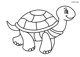 Select your coloring to print and neglect the stress of the day by coloring for hours a free printable zoo coloring pages. Zoo Animals Coloring Pages Free Printable Zoo Coloring Sheets