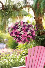 The best way to avoid getting the disease is. How Do I Keep My Flowers From Getting Leggy Garden Crossings