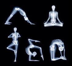 Pin By Fernanda Thais On Pet Ct 3 Xray Art X Ray Yoga
