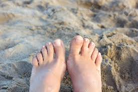 Geef de dieren de juiste kleur. Webbed Toes Birth Defect Close Up Of Fused Toes On An Adult Stock Photo Picture And Royalty Free Image Image 150190522