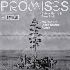 Calvin harris promises (single) promises. Calvin Harris Promises Mousse T S Extended Disco Shizzle Remix On Traxsource