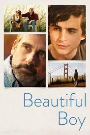 Beautiful Boy Filmativa Online Sa Prevodom