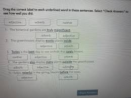 Savvas realize answer key : Can Anyone Check My Savvas Realize Brainly Com
