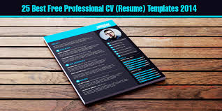 Image result for the best resume in the world