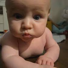 Mam Les P'tits Mousses