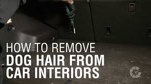 Pet hair attached to the seats and carpeting of your car can be a major nuisance, mainly because it vacuum over the area once it has dried in order to collect any excess hair. How To Remove Dog Hair From Car Interiors Autoblog Details Youtube