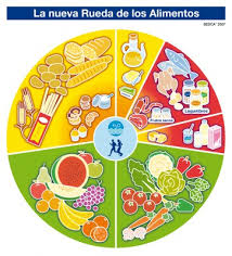 16 De Octubre Actividades Para Trabajar En El Dia Mundial De La Alimentacion Rueda De Los Alimentos Imagenes Educativas