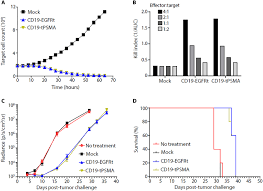 Maybe you would like to learn more about one of these? Imaging Car T Cell Therapy With Psma Targeted Positron Emission Tomography Science Advances