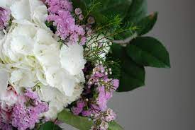 Maybe you would like to learn more about one of these? Flowers Lab Home Facebook