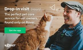 The outdoors allows for a much better environment for your cat to get adequate exercise. Indoor Cats Vs Outdoor Cats What To Know Before Deciding The Dog People By Rover Com