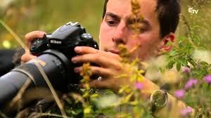 Nagy levente jelentése helyszíni szemléről, köh ikt. Zoltan Nagy Nature Photography