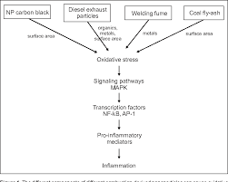 Pdf Metal Fume Fever Among Galvanized Welders Semantic Scholar