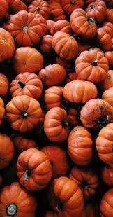 19 Ideas Wallpaper Backgrounds Aesthetic Fall Fall Wallpaper Iphone Wallpaper Fall Orange Aesthetic
