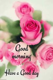 Good morning images rose flowers hd. 110 Good Morning Flowers Greetings