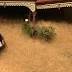 This small city is being swallowed up by a weird, hairy tumbleweed