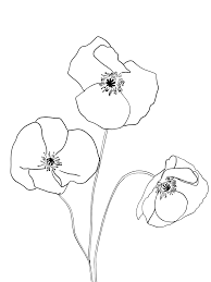 Flowers Line Art Poppy Art Flower Line Drawings Black And White Art Drawing