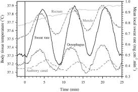 The core aids in transferring energy from the ground to your arms. Considerations For The Measurement Of Core Skin And Mean Body Temperatures Sciencedirect
