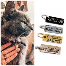 See actions taken by the people who manage and post content. Cat Tag Dog Tag Cat Id Tag Personalized Cat Tag Dog Id Etsy