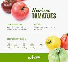 Heirloom, also called heritage, refers to varieties of tomatoes whose seeds have been passed down for generations because of desired qualities and characteristics. The Complete Guide To Every Type Of Tomato Nature Fresh Farms
