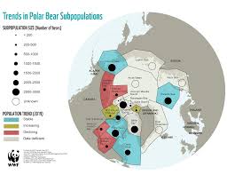 If you're the only one, he probably has a crush. Polar Bear Species Wwf