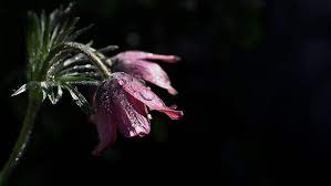 We did not find results for: Mel Griffiths Death Obituary Mel Griffiths Has Died Inotice