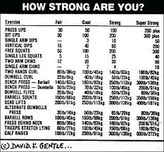 65 prototypal average bench press chart