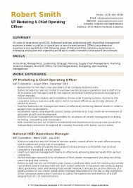 chief operating officer resume samples