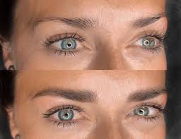 Wir suchen ein Modell für Powderbrows ! Am Sonntag 08.12.24 ab 10:00!! Im  Rahmen eines Perfektionstrainings suchen wir noch ein Modell!  Vorraussetzung: kein altes PMU Schönsinn Academy Otto-Hirsch-Brücken 17  70329 Stuttgart 0174/6000433 Dagmar Erdmann ...