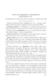 Image result for Bidens kilimandscharica