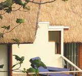 THATCH ROOFING - KAWARA
