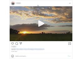 Class a report and instagram announced that the pho. Instagram Downloader Download Video Photo Reels Igtv Online Snapinsta
