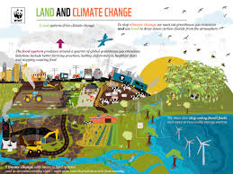 Über 7 millionen englischsprachige bücher. Ipcc Land Report Wwf