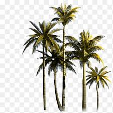 Download coconut tree png free icons and png images. Green Coconut Tree Leaves Coconut Leaf Banana Banana Leaves Grass Png Pngegg