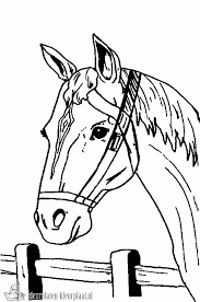 Kleurplaten voor volwassenen kleurboeken paardenhoofd paard kunst paard tekeningen paardentips tatoeage paard gratis kleurplaten tekenkunst. Kleurplaten Paardenhoofd Kleurplaten Kleurplaat Nl
