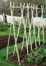 Maybe you would like to learn more about one of these? What Is The Best Method For Trellising Green Beans Gardening Landscaping Stack Exchange