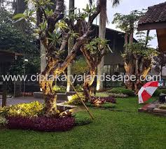 Denah rumah minimalis menjadi pilihan menarik untuk anda dibandingkan dengan rumahh besar. Taman Rumah Minimalis Modern 2017 Jasa Tukang Taman Jakarta Desain Kreatif Profesional