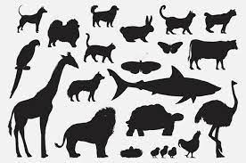 Download in under 30 seconds. Free Vector Illustration Drawing Style Of Animal Collection