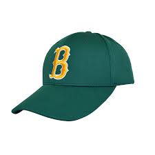 We did not find results for: School Sports Baseball Cap Red Oak School Uniforms