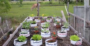 Maybe you would like to learn more about one of these? Container Gardening Vegetables That Grow In Containers