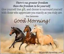 Pin By Estelle On Good Morning Have A Awesome Day Good Morning Inspirational Quotes Good Morning Quotes Morning Quotes