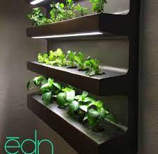 Wall Hanging Edn Grows Number Of Different Vegetables And Herbs Indoor Vegetable Gardening Herb Grower Indoor Herb Garden