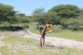 It is located in the southern part of the district, close to lake ngami. 25083 Biking From Sehithwa To Maun In Botswana Geoff Jones