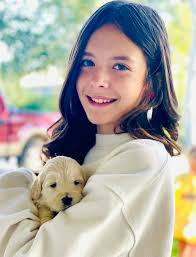 307 Mini Goldendoodles